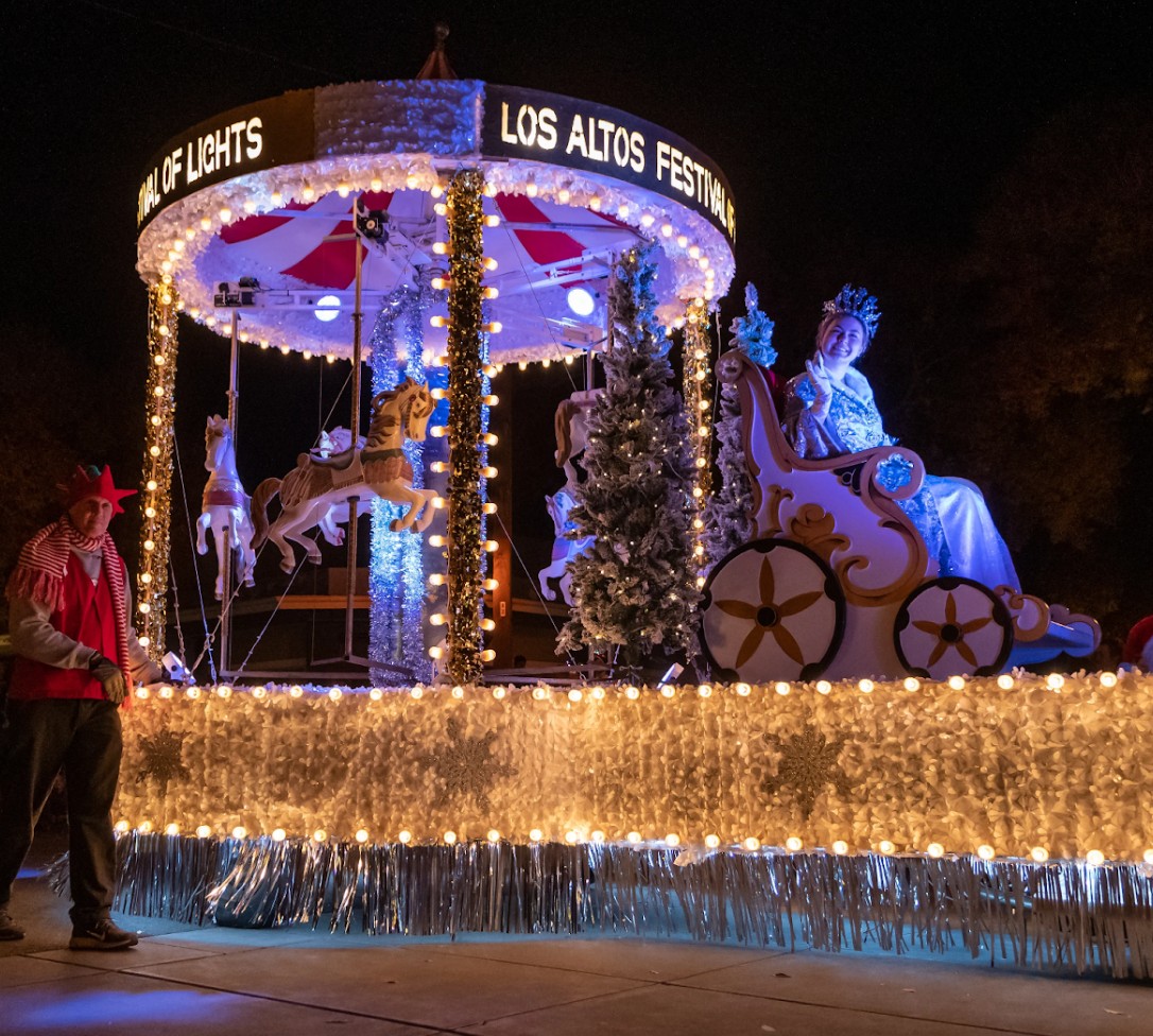 Festival of Lights - image 3